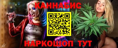 прущие грибы Партизанск