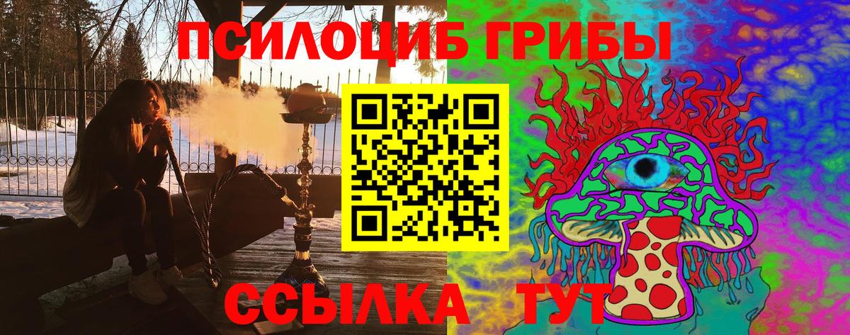 Орехово-Зуево  Псилоцибиновые грибы прущие грибы  Вход с VPN  Галлюциногенные грибы Psilocybe 